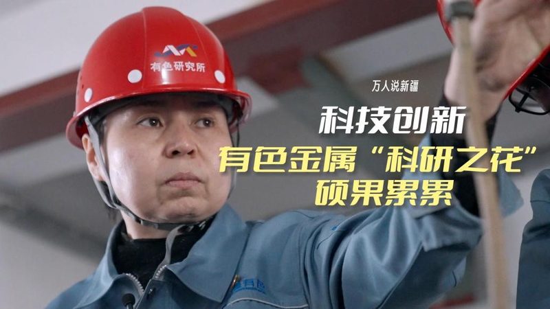 数据可视化配色模板分为多种类型，包括：